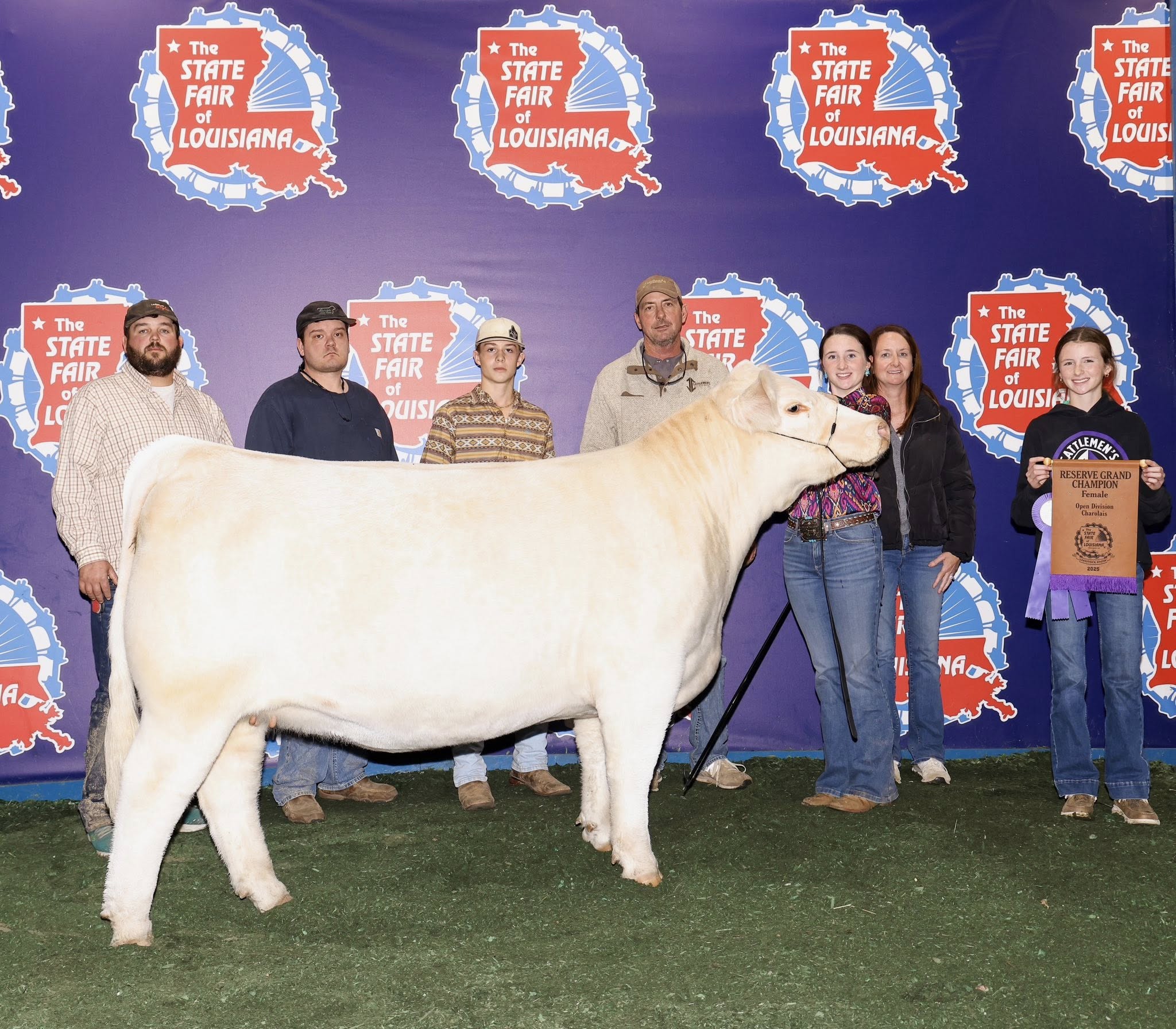 A small group of people with a white cow.